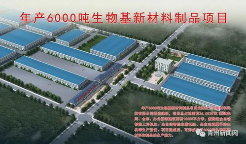 126.1亿元 潍坊这个地方 开工