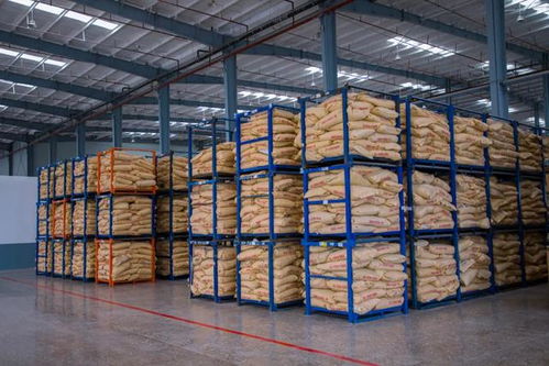 探秘 中国先进的建筑防水材料生产基地什么样